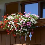 Gastehaus Sapetschnig * Faak am See