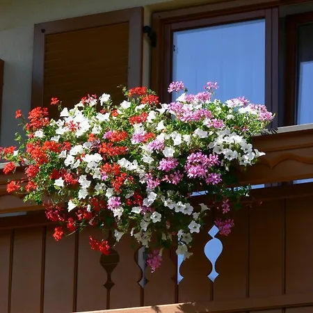 Gastehaus Sapetschnig * Faak am See